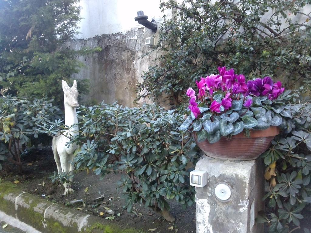 Couette-café Domus Aurea Naples